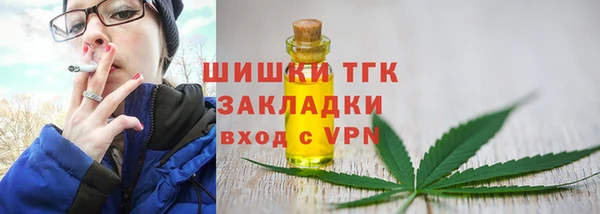 ГАЛЛЮЦИНОГЕННЫЕ ГРИБЫ Гусиноозёрск
