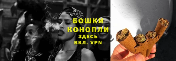 СК Гусев