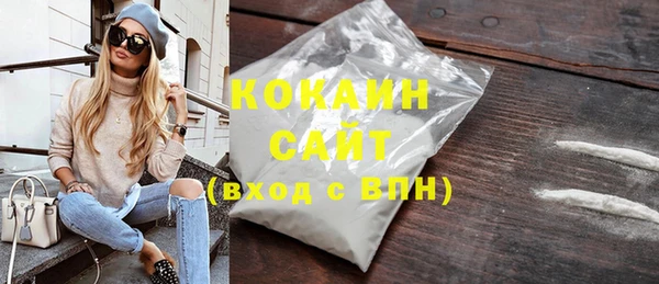 ГАЛЛЮЦИНОГЕННЫЕ ГРИБЫ Дмитриев