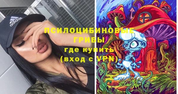 СК Гусев
