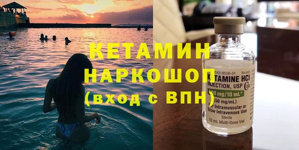 ГАЛЛЮЦИНОГЕННЫЕ ГРИБЫ Дмитриев